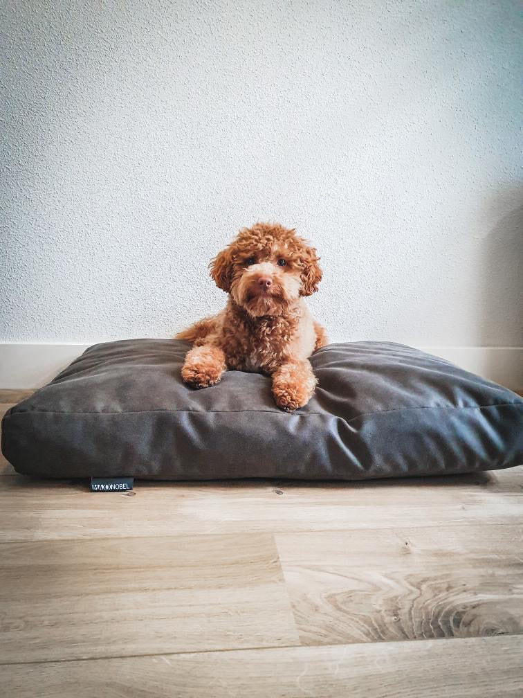 Hoe houd je jouw MaxxNobel hondenkussen schoon?