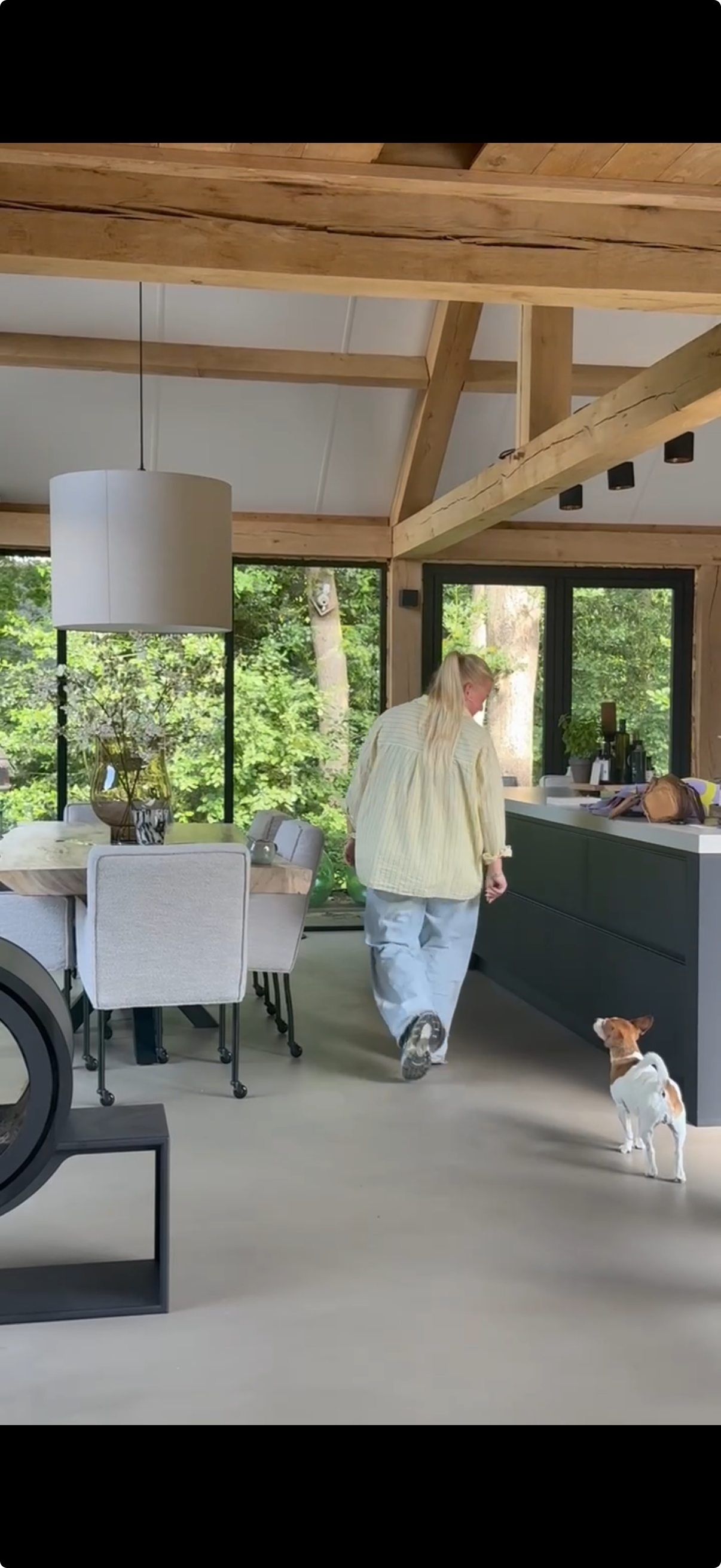 Een kleine wit en tan hond met korte vacht staat op zijn achterpoten en kijkt omhoog waarom honden je overal volgen