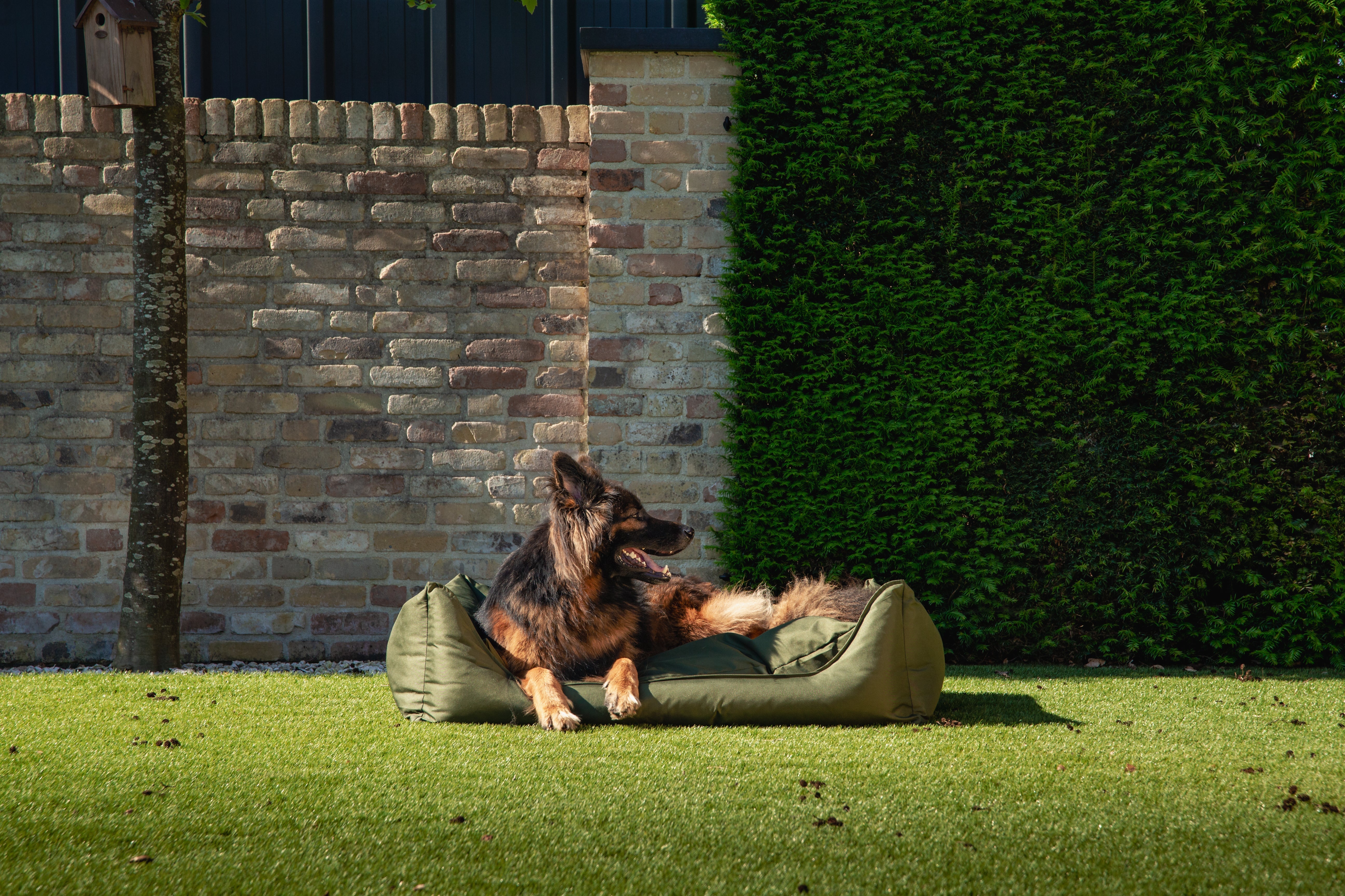Grote hond relaxt in een MaxxNobel Bliss hondenmand buiten op het gras – stevige mand met ademend koudschuim, ideaal voor warm weer.