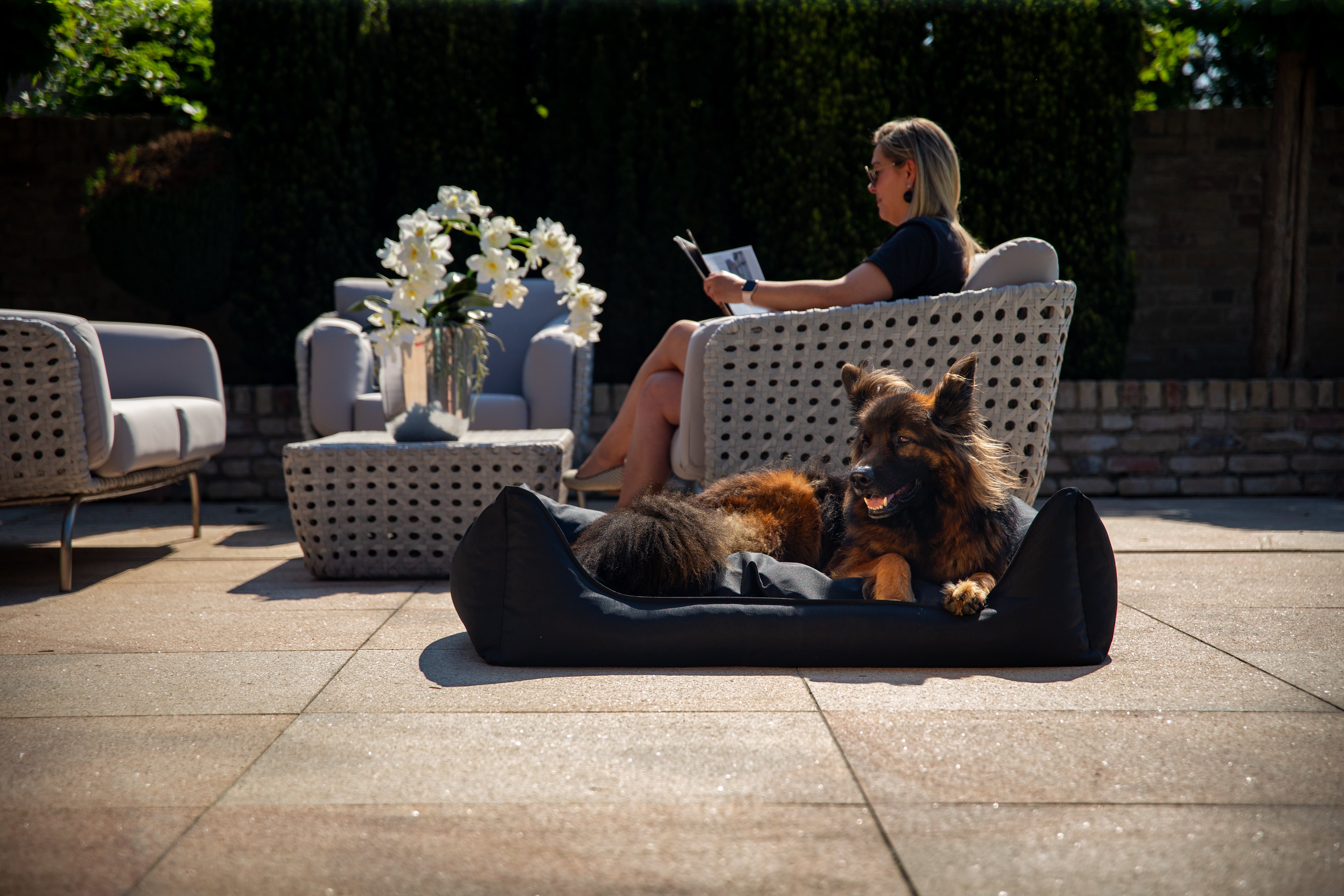 Guus ontspant in de Bliss hondenmand van MaxxNobel, perfect voor warme zomerdagen.