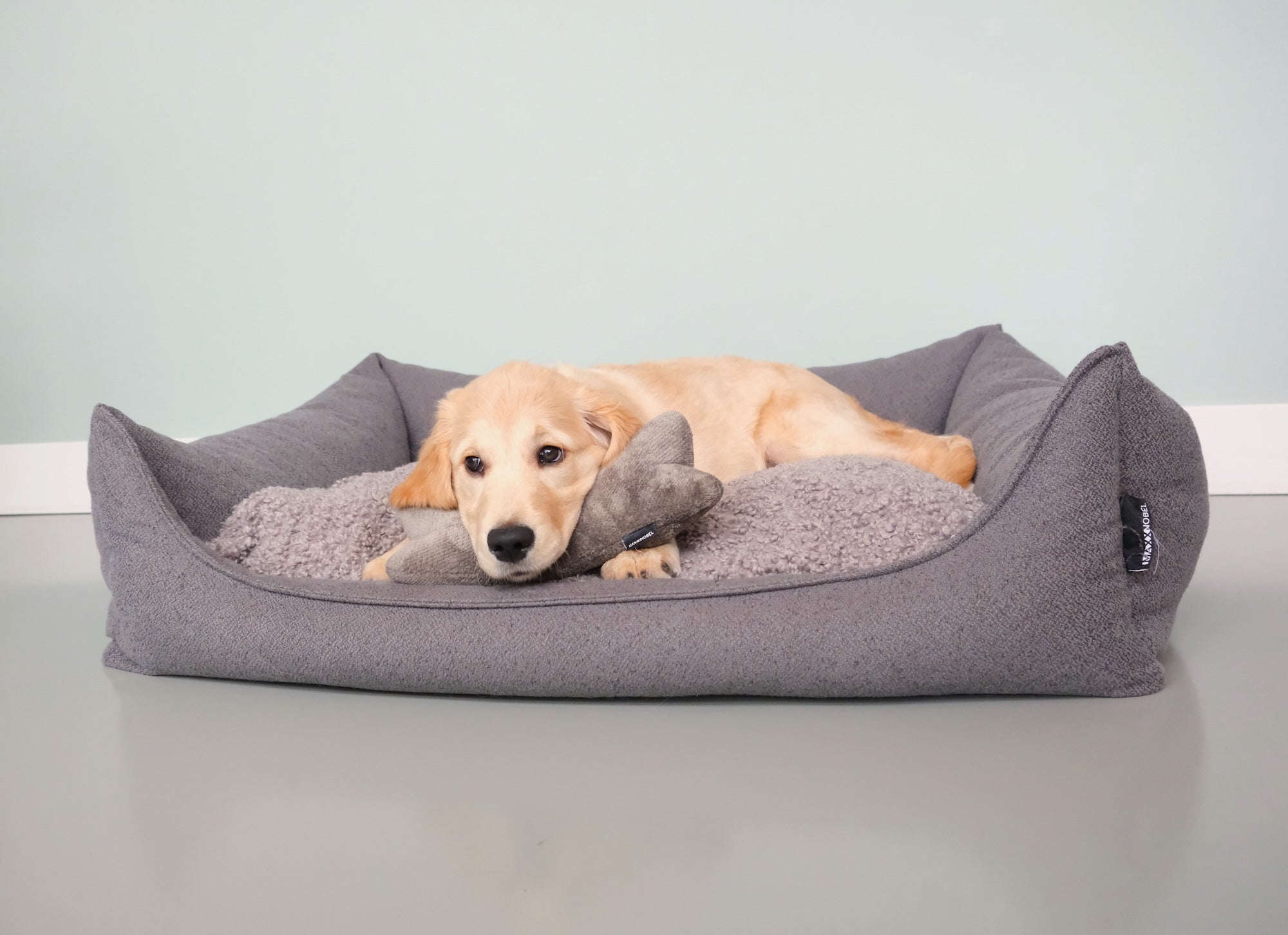 Slaapt jouw hond wel écht genoeg? En waarom dat alles beïnvloedt