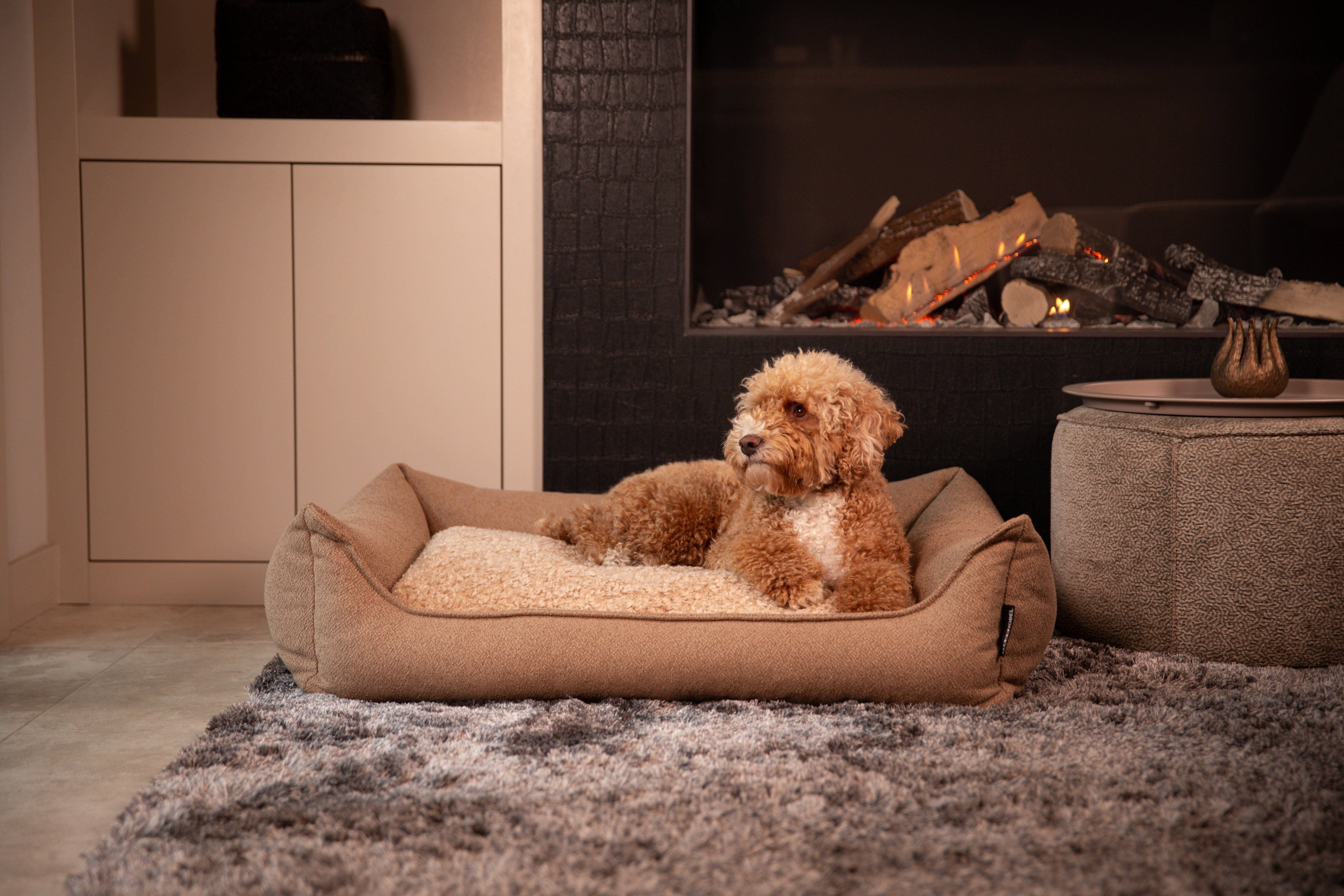 Hond rust comfortabel in een zachte mand, passend bij elke levensfase.