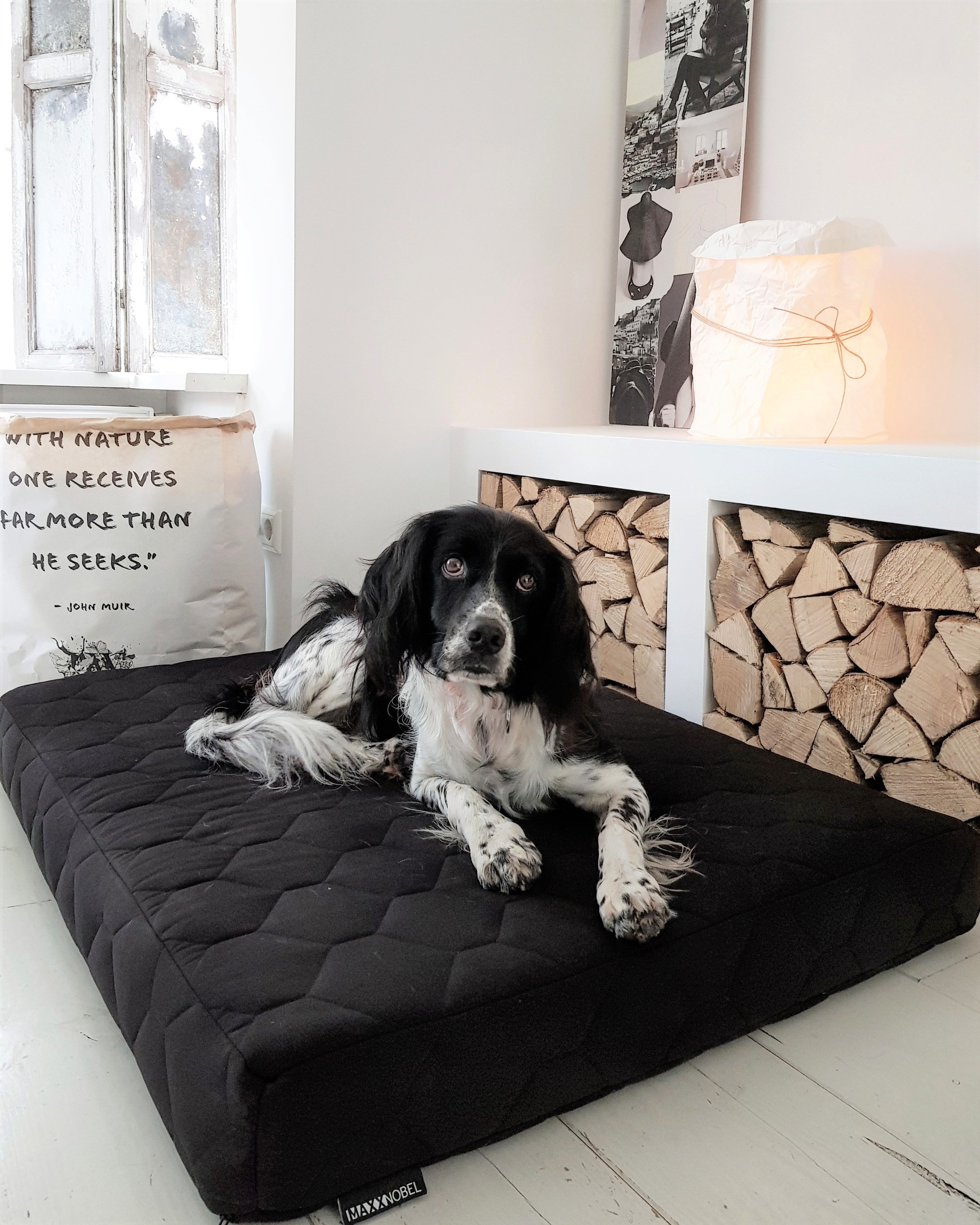 Waterafstotende kussens en nanotechnologie