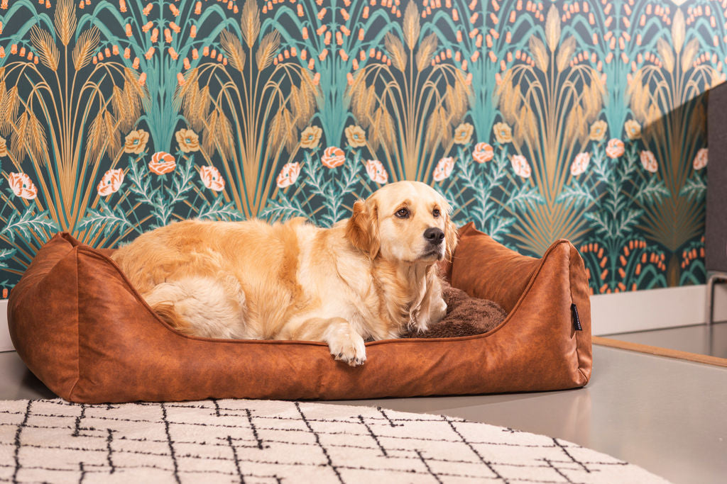 hond die heerlijk ligt uit te rusten in de orthopedische hondenmand van MaxxNobel