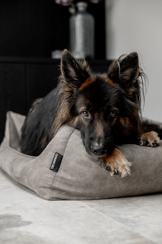 Verbeter het Welzijn van Je Hond: De Impact van de Juiste Hondenmand