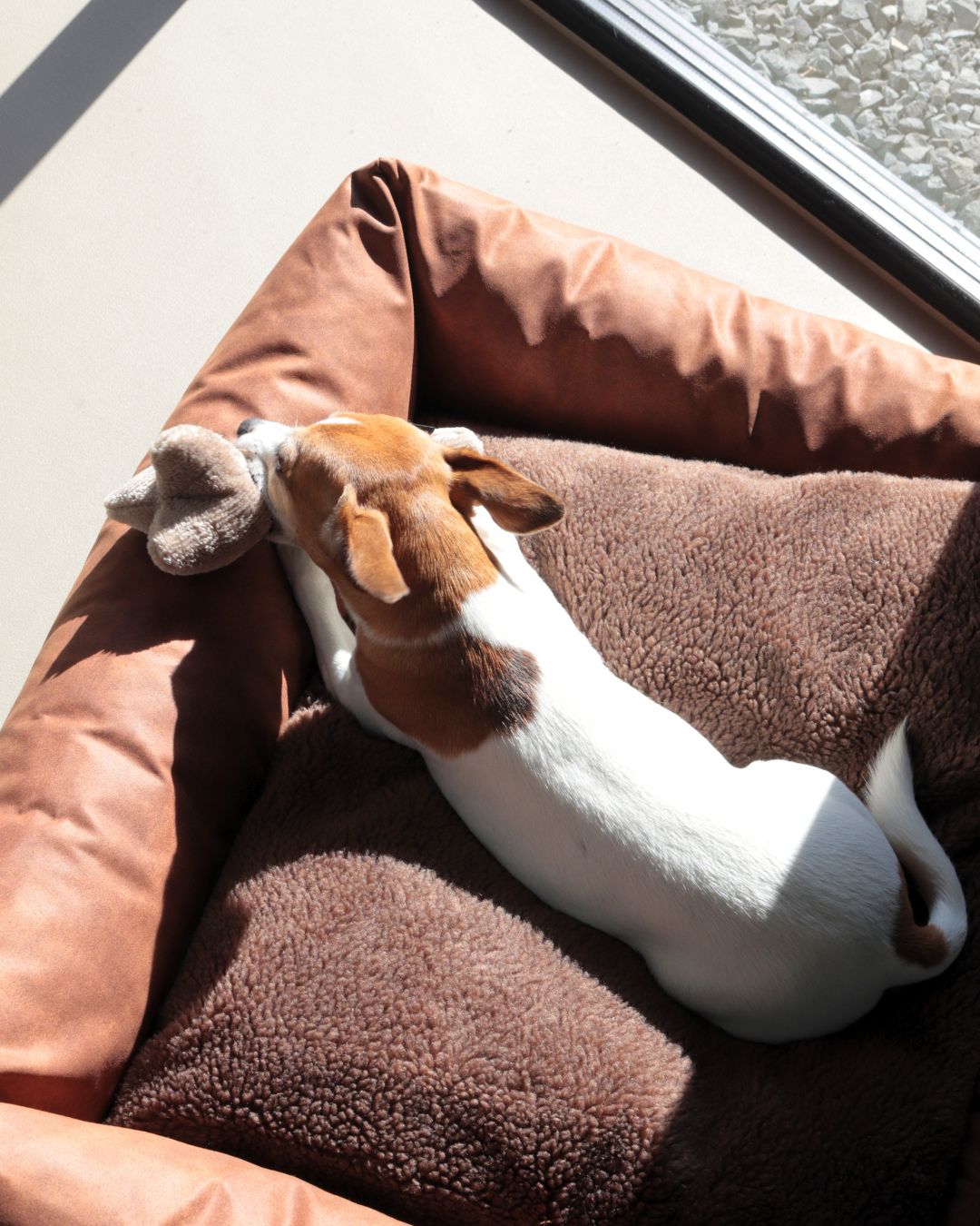 Waarom moe maken niet werkt bij een drukke hond