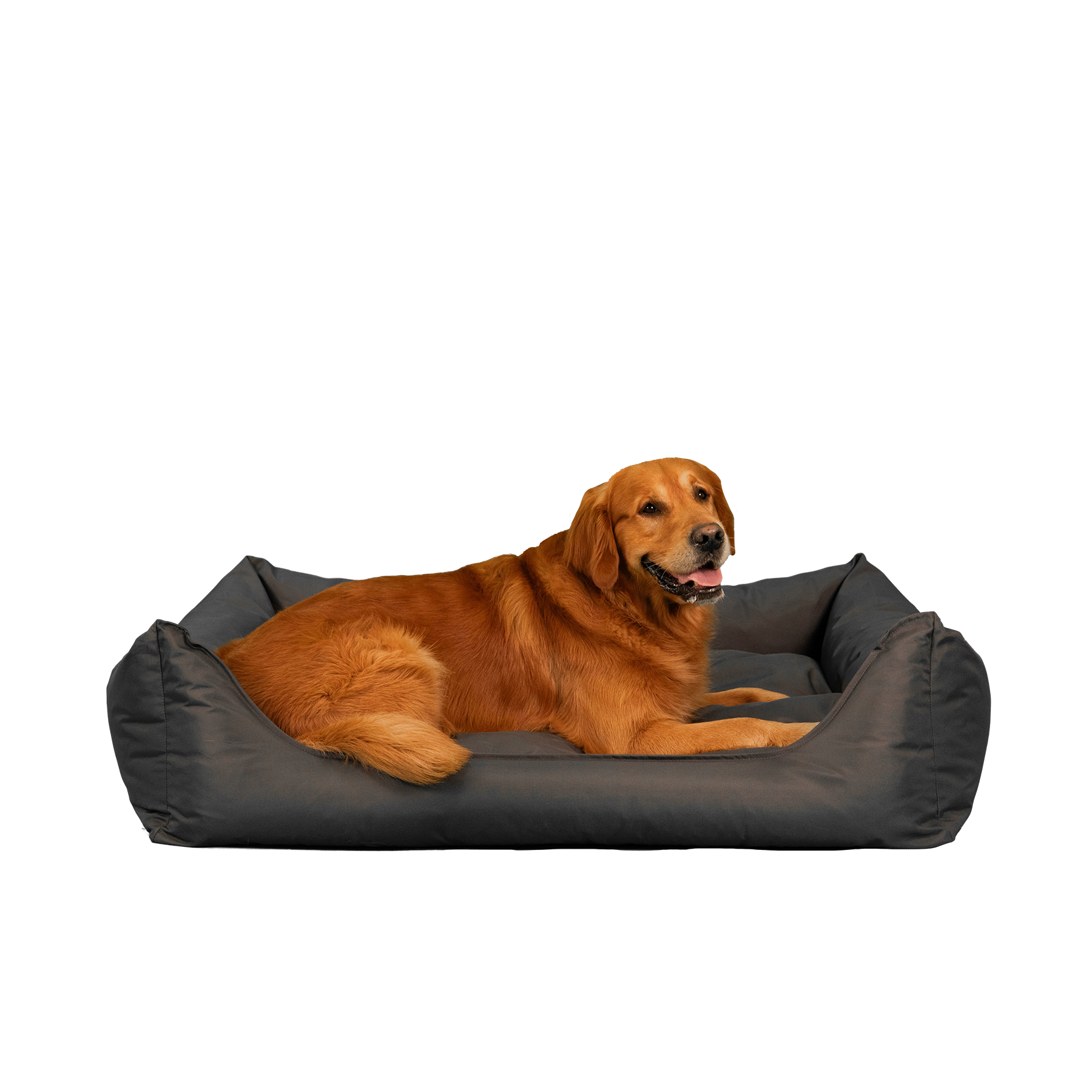 Orthopedische Hondenmand - Bliss - Antraciet - Orthopedische Hondenmand