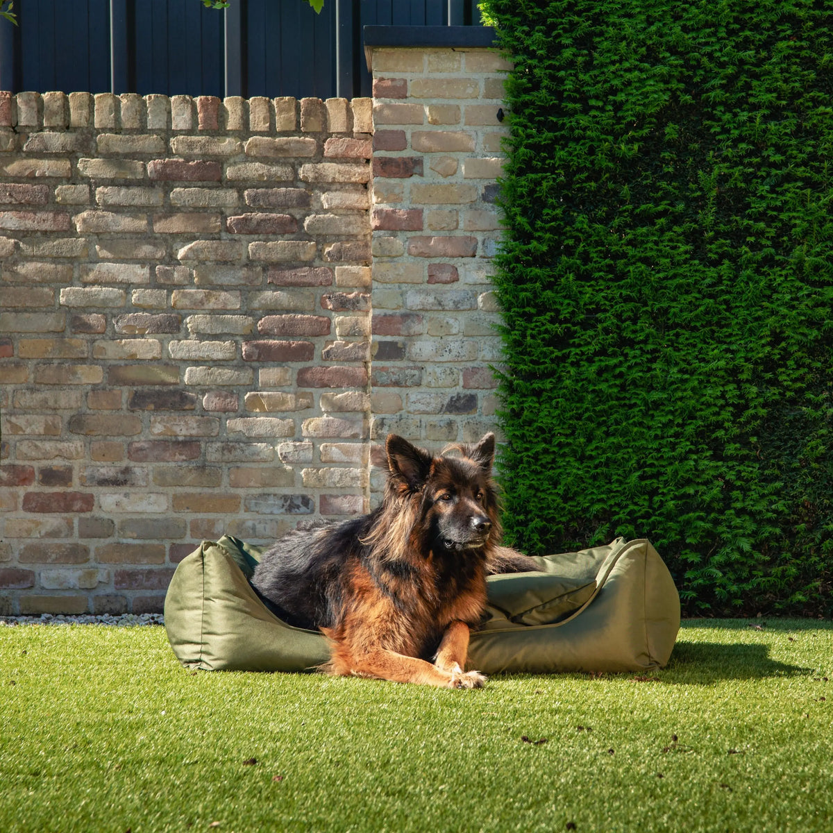 Orthopedische hondenmand bliss in olijfgroen met zacht pluche voor optimale hondenslaap en comfort
