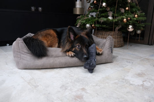Kerstcadeau voor Honden: Unieke MaxxNobel Honden Knuffel in Vier Kleuren
