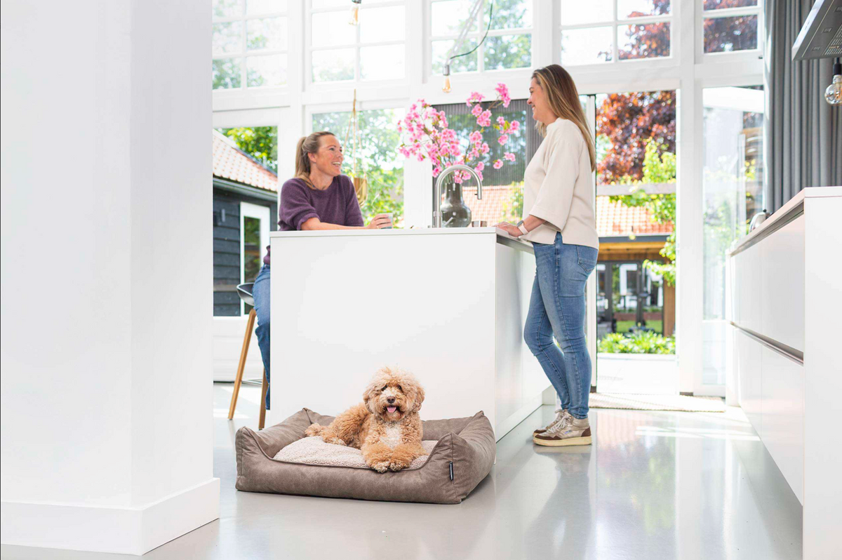 Waarom je puppy niet overal aan hoeft te wennen