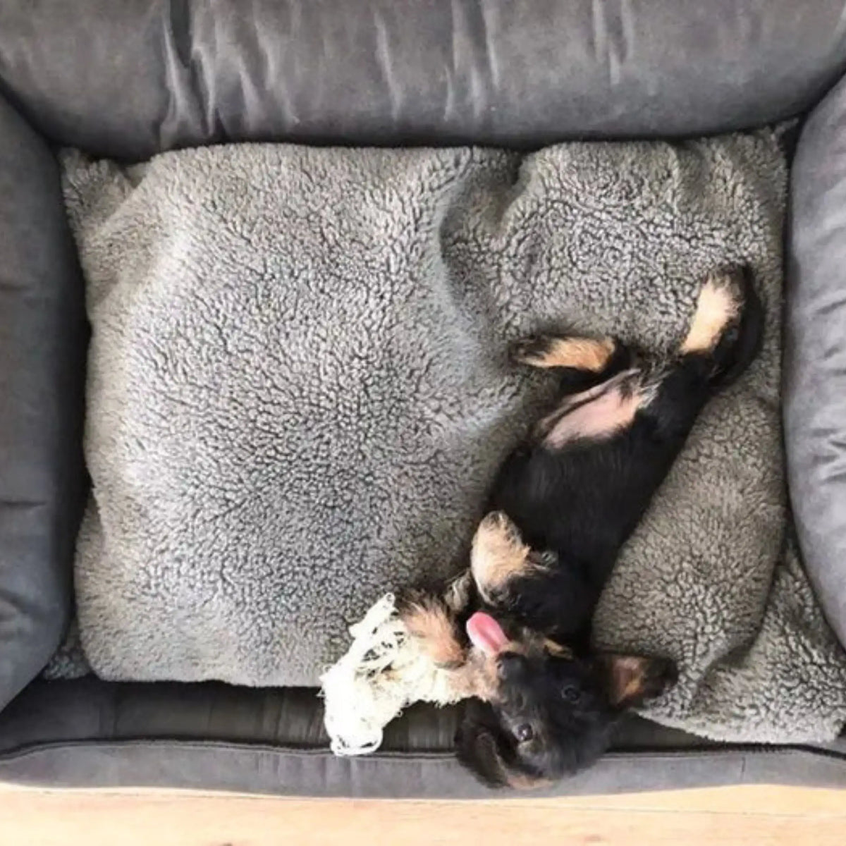 Je puppy hoeft niet de hele dag beziggehouden te worden