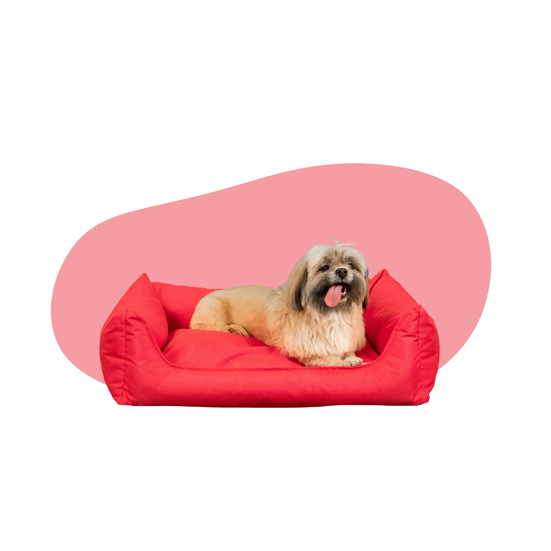 Kleine Hondenmanden