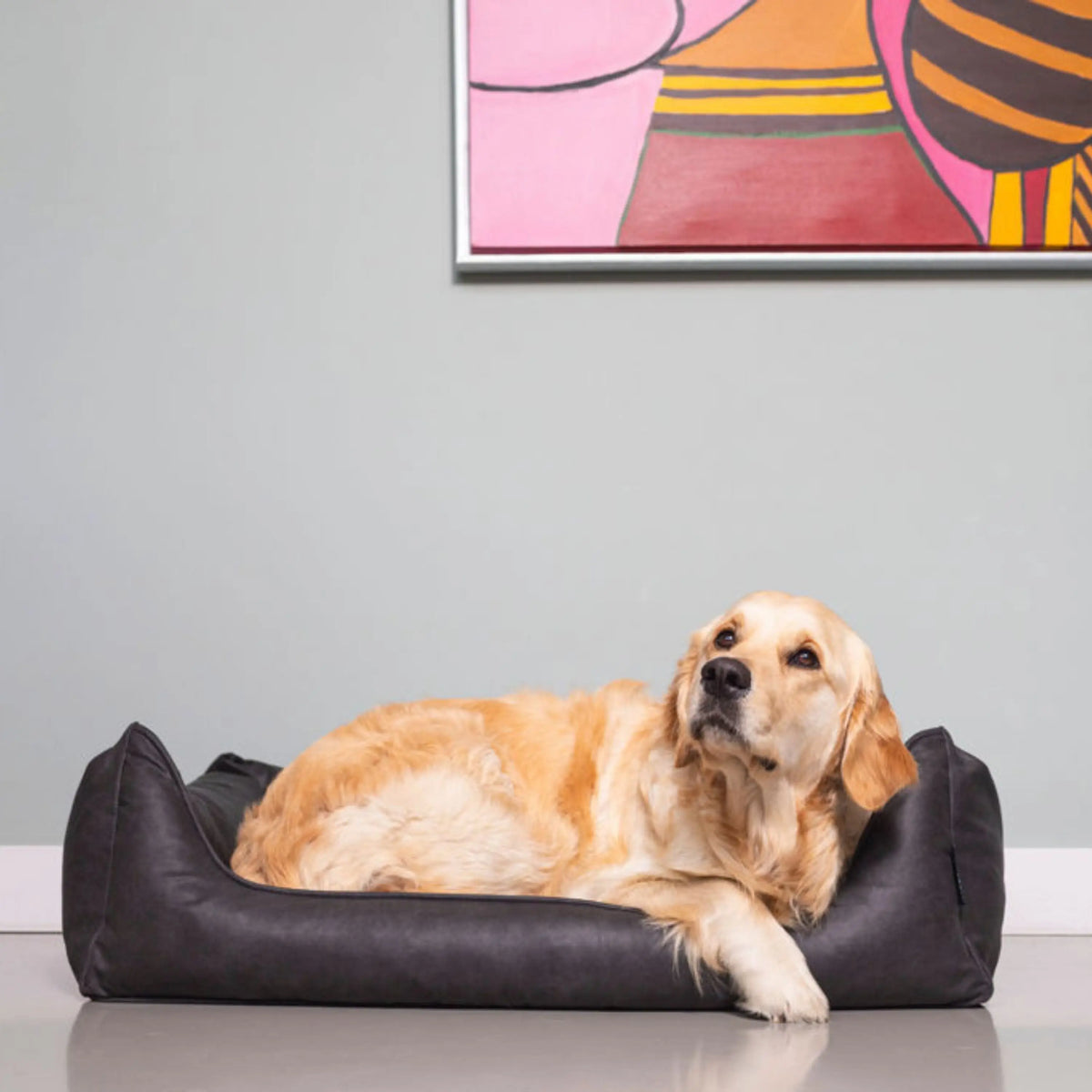 Een orthopedische hondenmand lederlook antraciet met zachte, opstaande zijkanten voor extra comfort