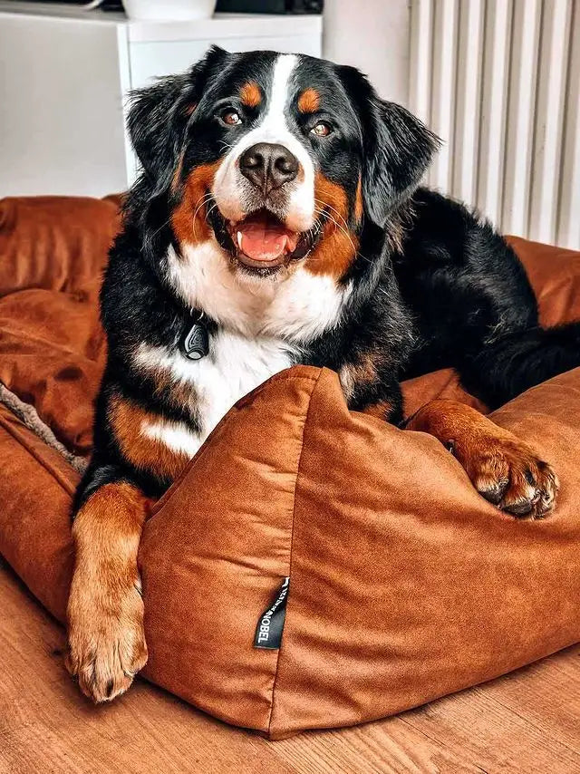 Orthopädisches Hundebett – Lederoptik – Cognac