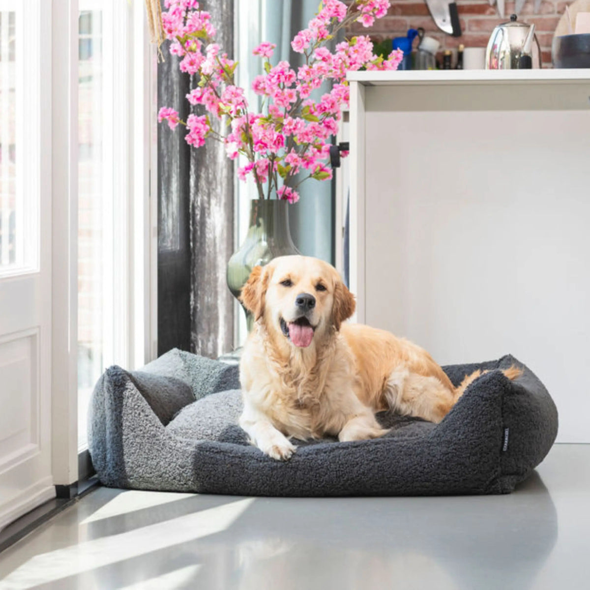 Een orthopedische hondenmand teddy grijs met een zachte, knuffelachtige en verhoogde rand voor extra comfort
