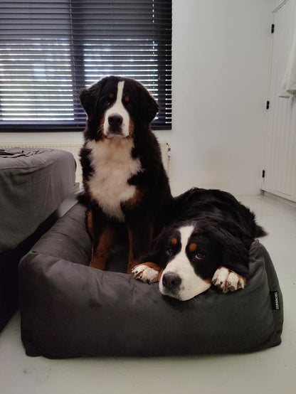 Orthopedic Dog Bed MaxxNobel - Leather Look - Anthracite