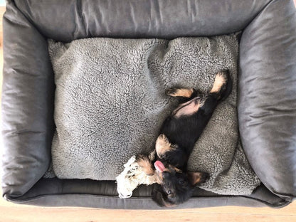Orthopedic Dog Bed MaxxNobel - Leather Look - Anthracite