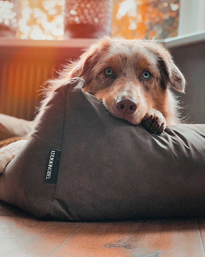 Orthopedic Dog Bed MaxxNobel - Leather Look - Olive