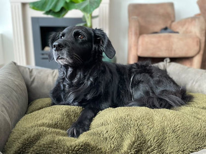 Orthopedic Dog Bed MaxxNobel - Leather Look - Olive